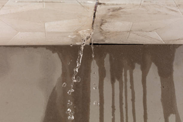 Professional Water Damage Repair technician working in Capitola, CA